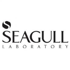 سی گل (Seagull)